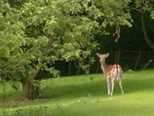 Bed and Breakfast The Barn At Woodview Hildenborough Exterior foto